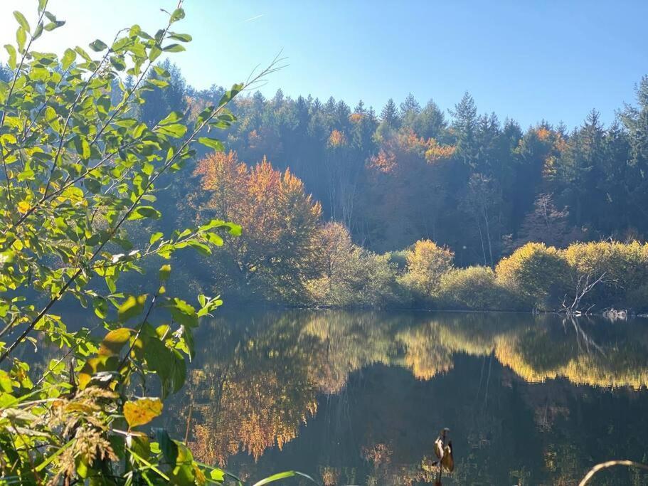 Charismatisch Und Gemuetlich In Guettingen, Nah Zum Buchensee Und Bodensee, Tolle Lage Radolfzell am Bodensee Ngoại thất bức ảnh