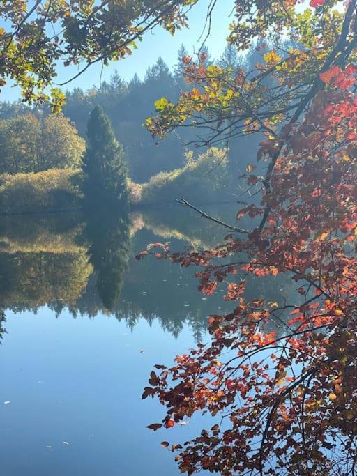 Charismatisch Und Gemuetlich In Guettingen, Nah Zum Buchensee Und Bodensee, Tolle Lage Radolfzell am Bodensee Ngoại thất bức ảnh