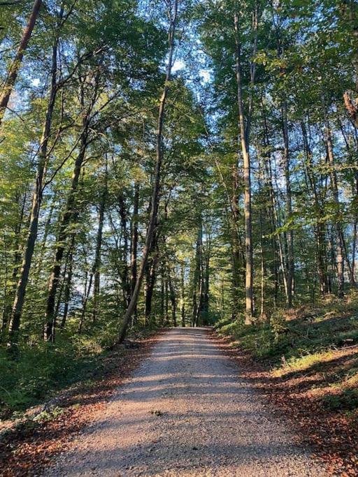 Charismatisch Und Gemuetlich In Guettingen, Nah Zum Buchensee Und Bodensee, Tolle Lage Radolfzell am Bodensee Ngoại thất bức ảnh
